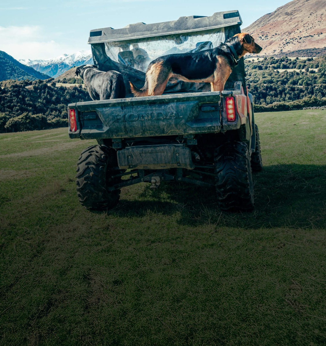 Pioneer_Hub_Capacity_Mobile_1600_x_1700